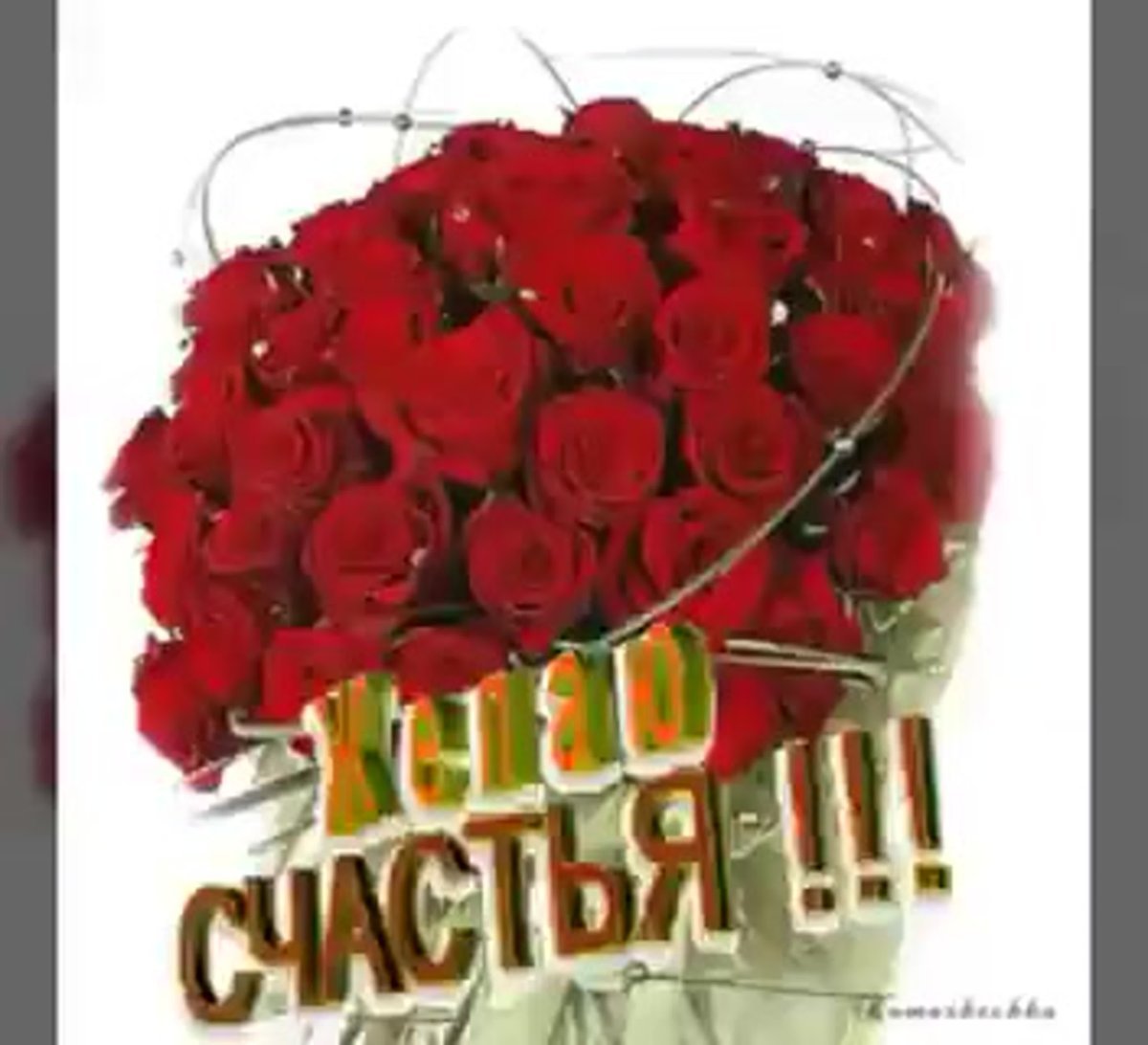 Счастья любви добра цветы