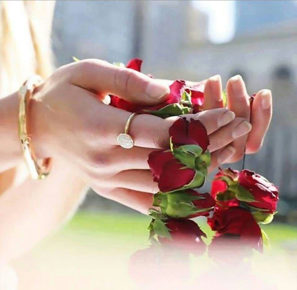 Моим друзьям с любовью