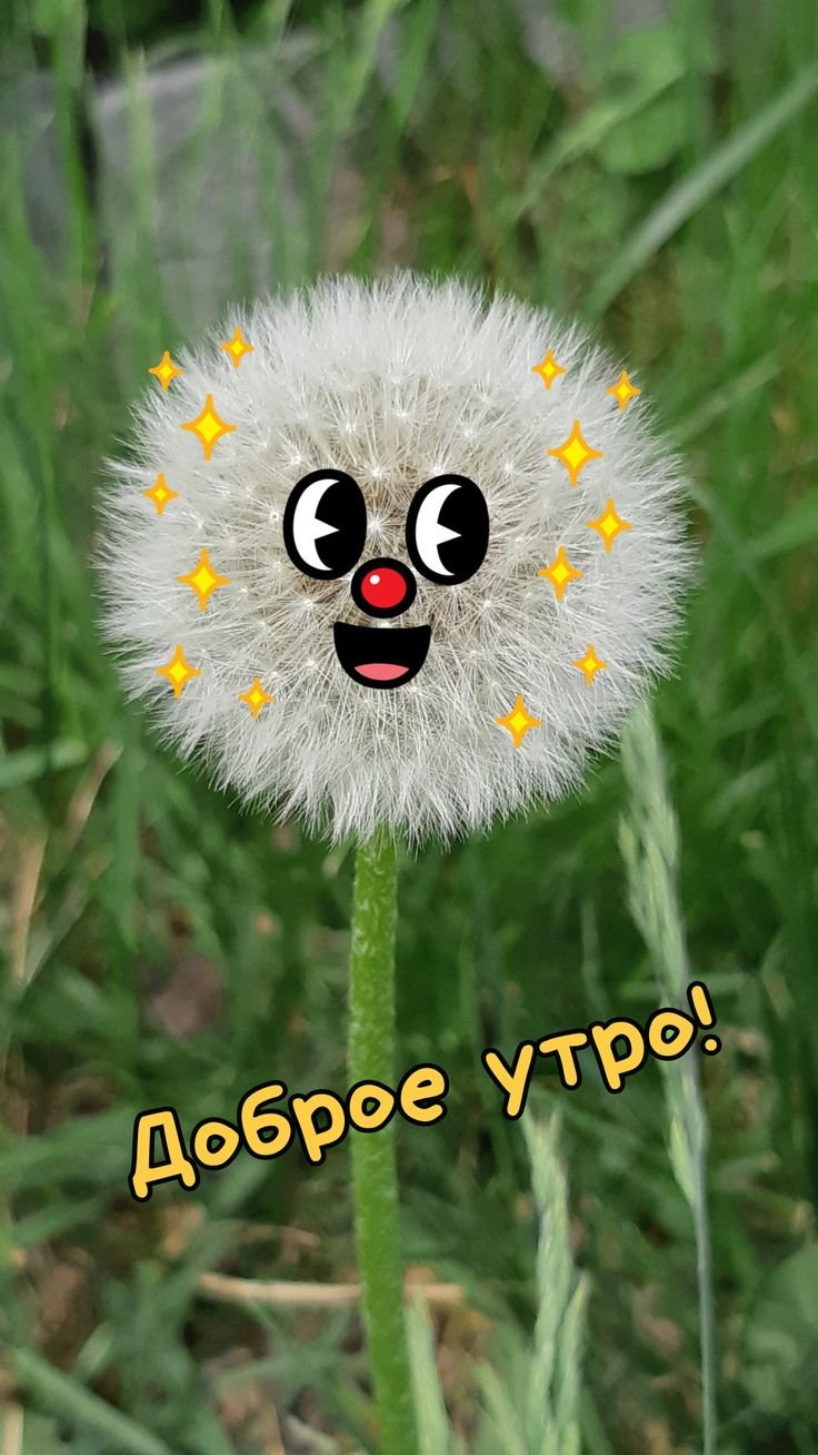 Прикольные для поднятия настроения