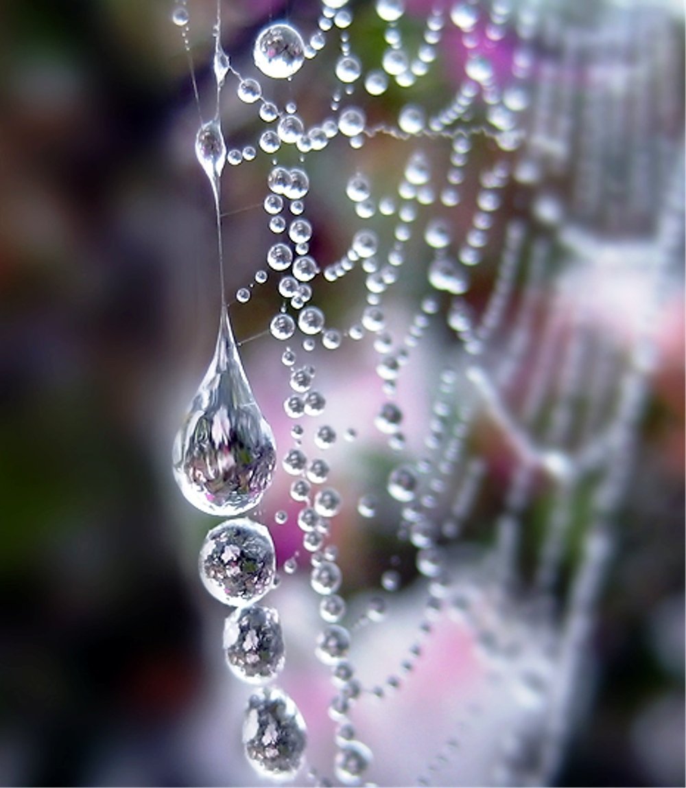 Хрустальная капля вода