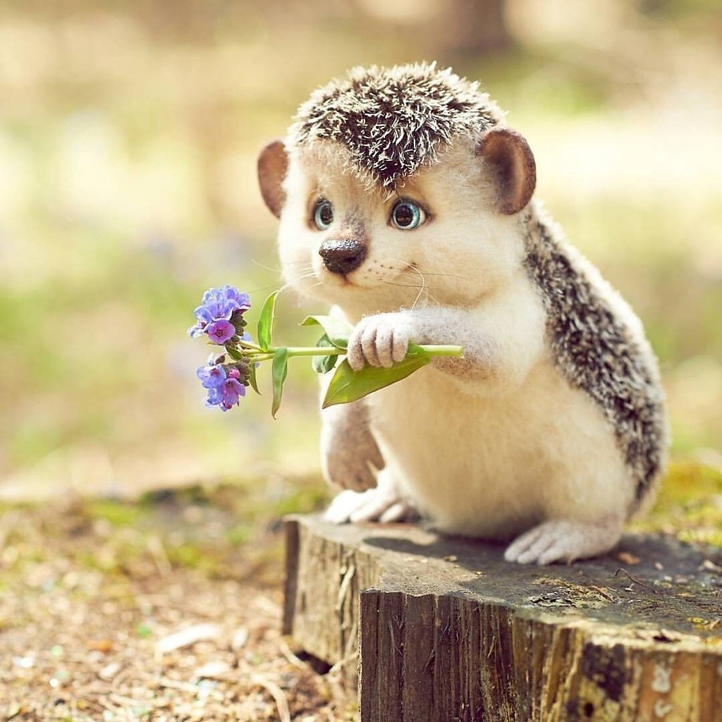 Картинки для поднятия настроения