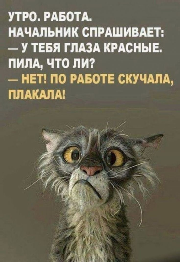 Позитивные высказывания для поднятия настроения