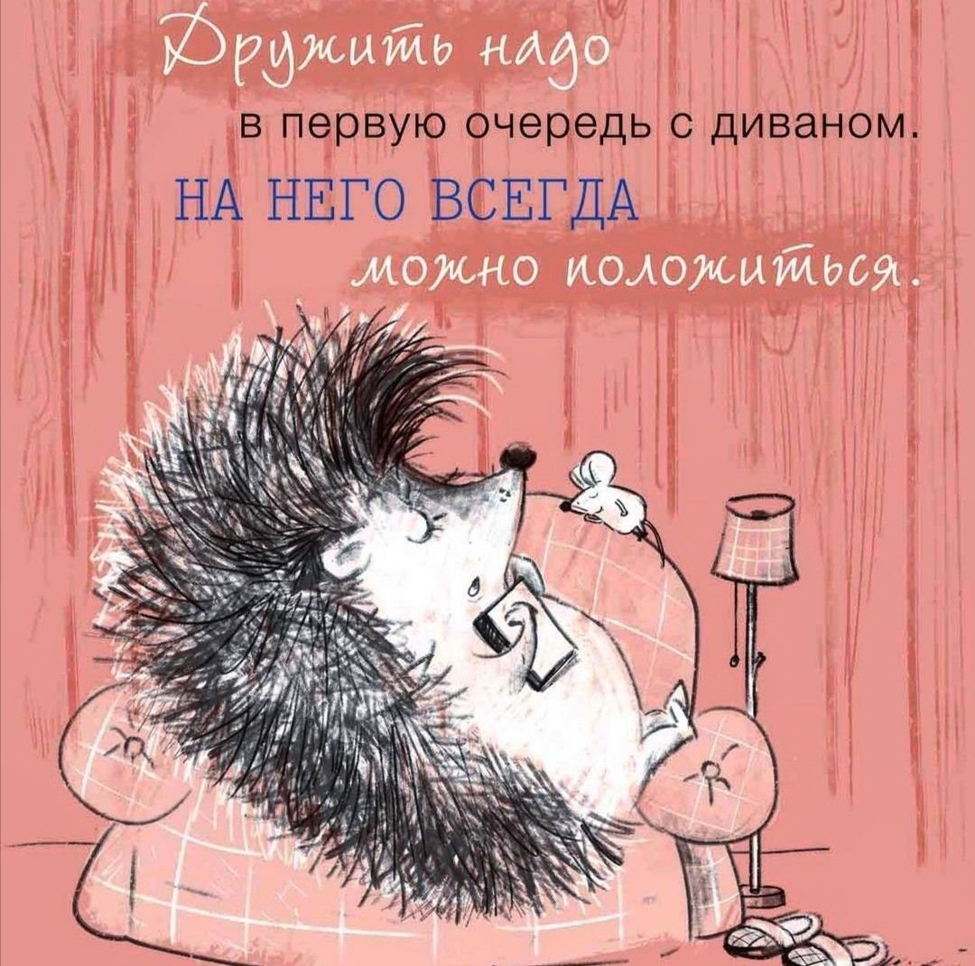 Ежик проснулся