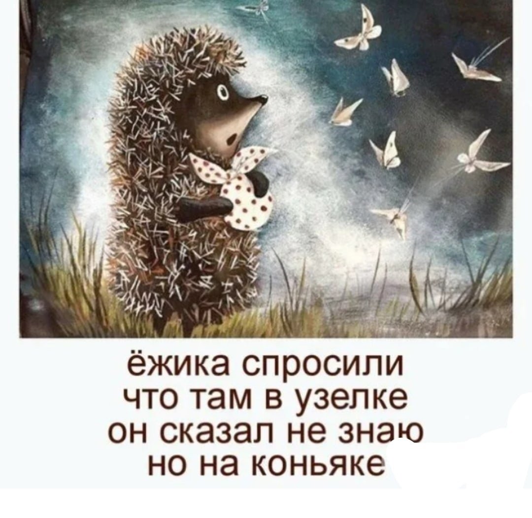 Спокойной ночи мишка