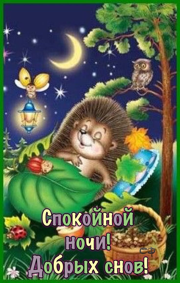 Ежик и звезда