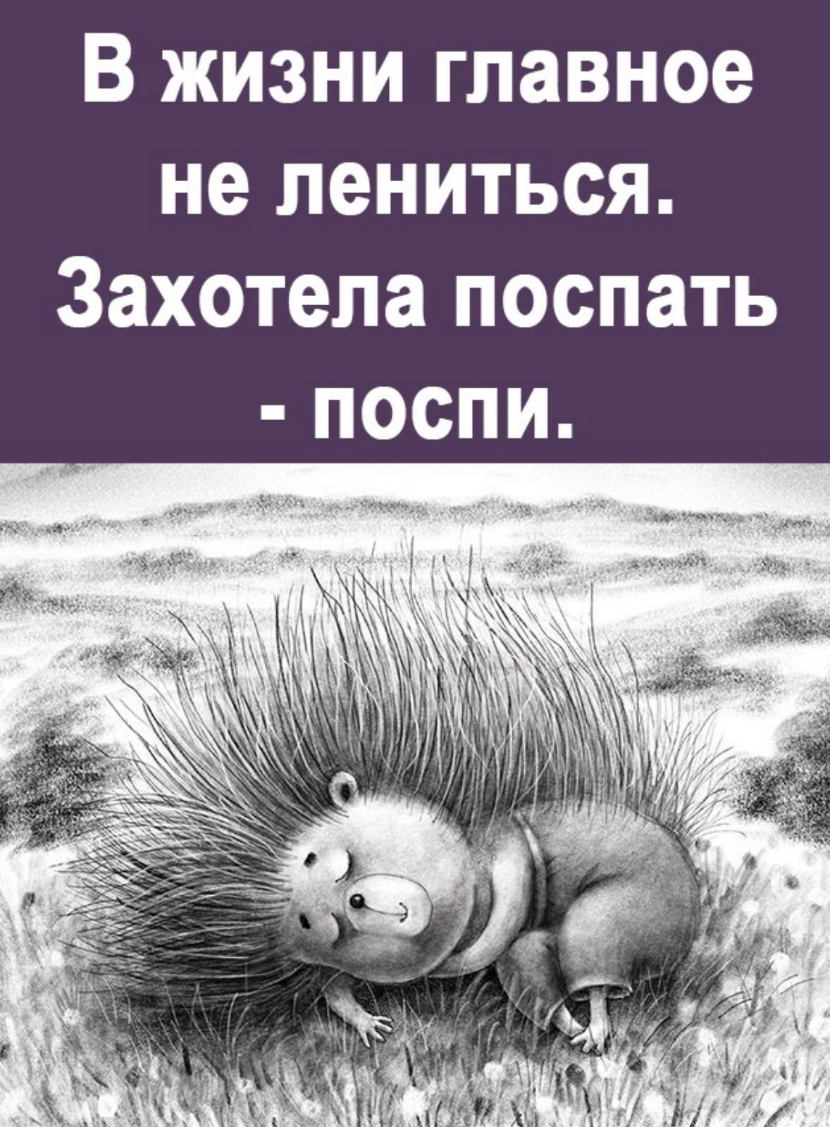 Ежик спит на Луне