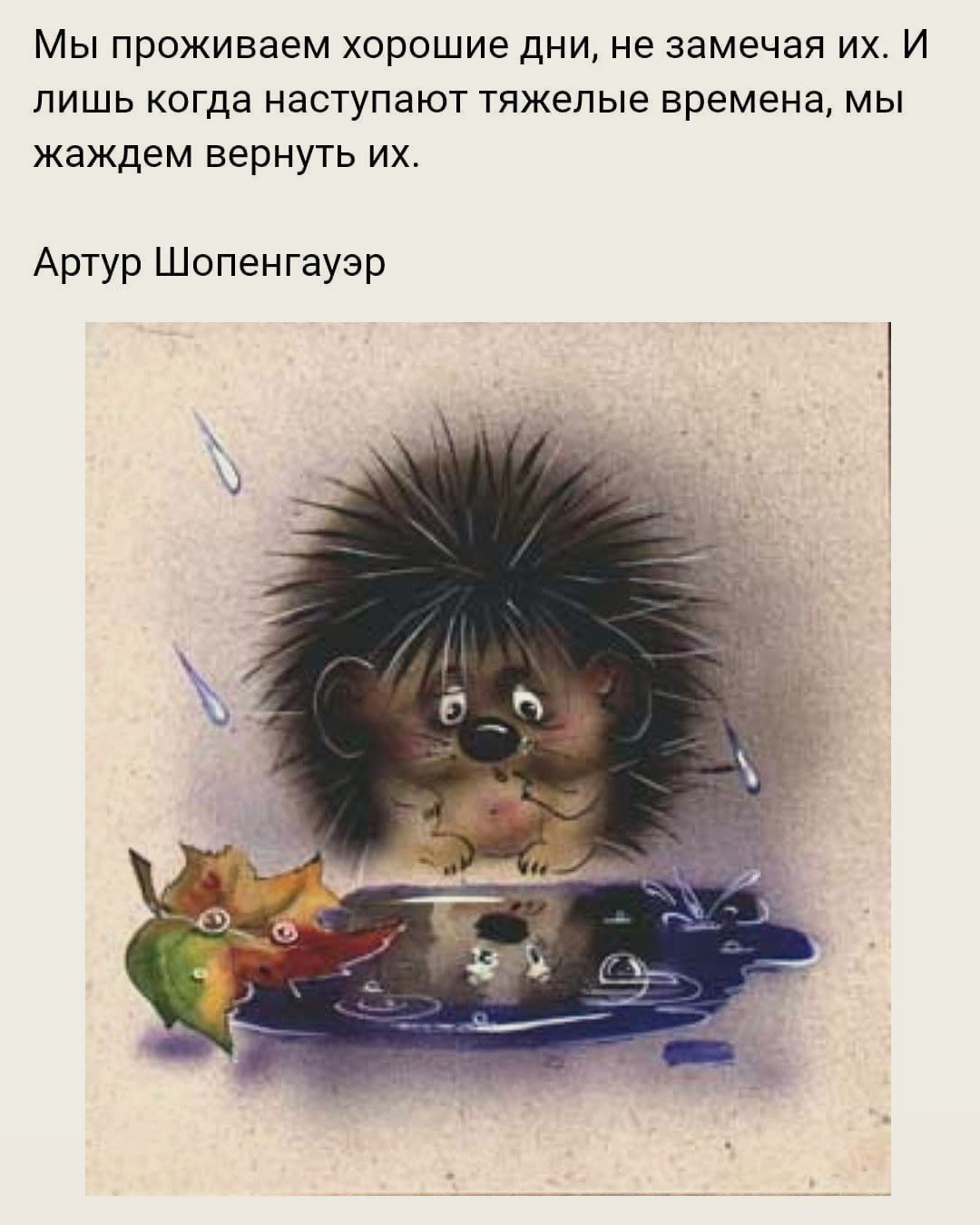 Ежики любовь