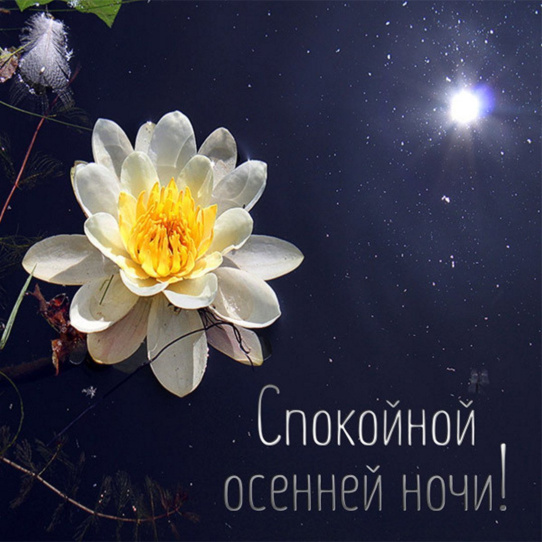 Камин уютный вечер