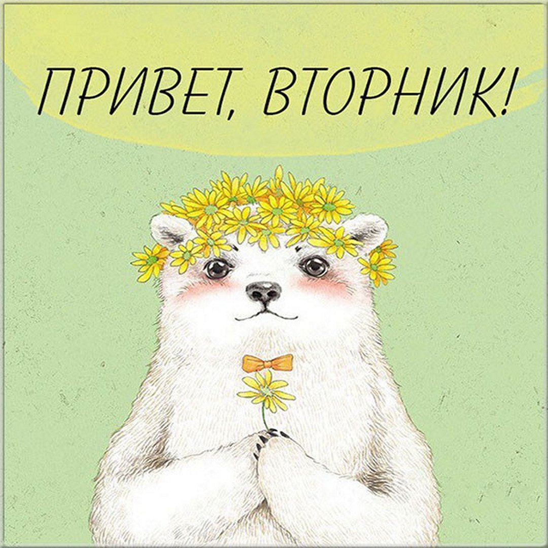 Картинки с надписью привет красавчик