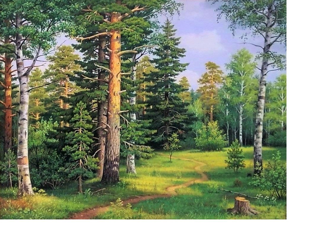 Березовая роща