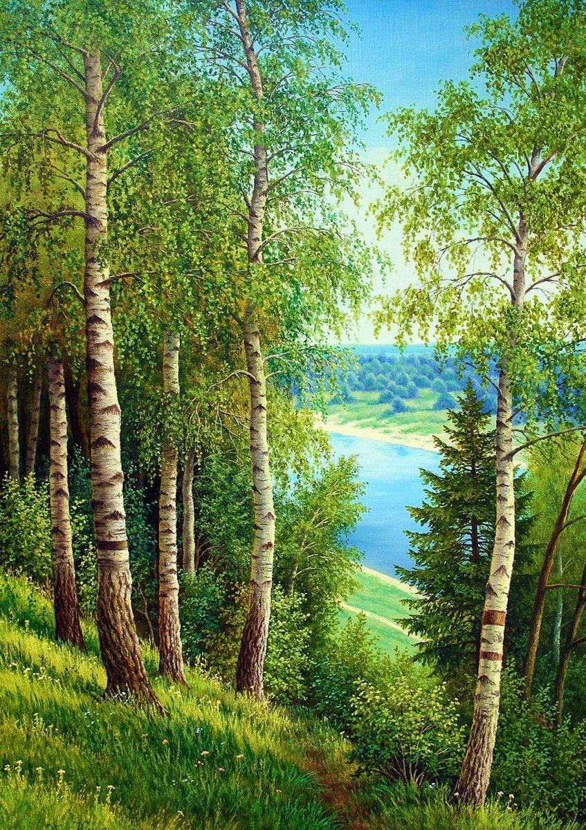 Рисунок леса для детей