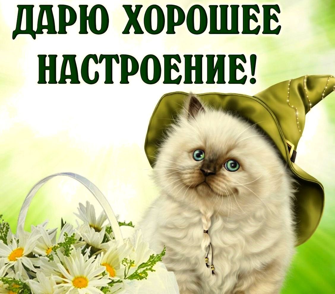 Смешные названия для группы в ватсапе