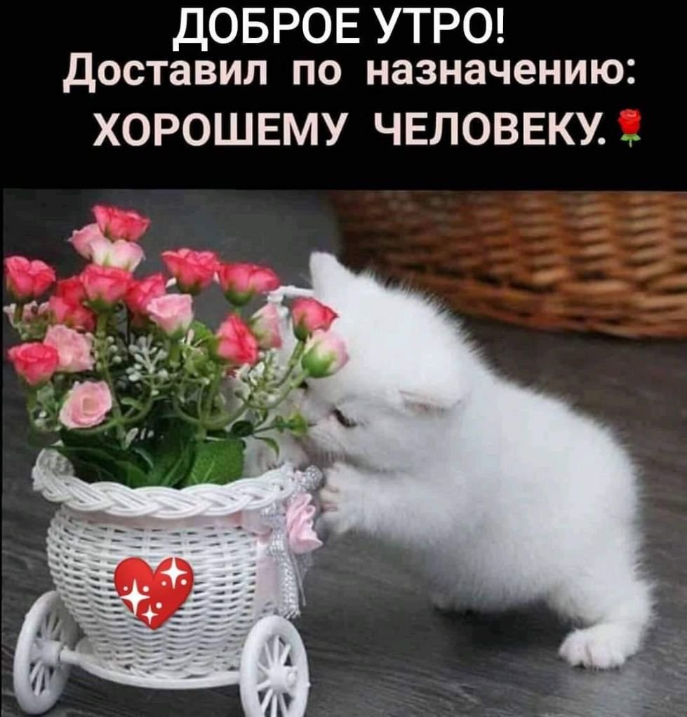 Открытка хорошему человеку