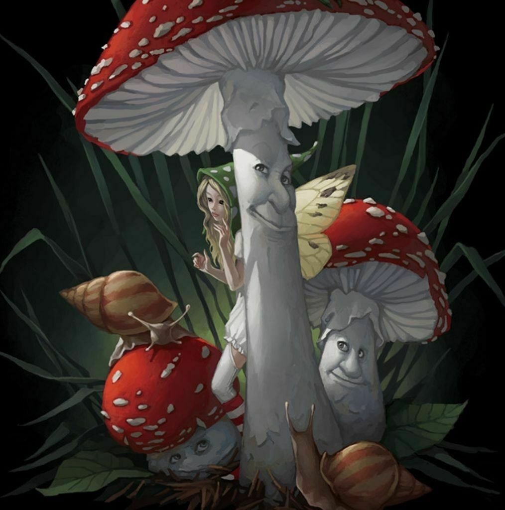 Аманита Мускария шаман