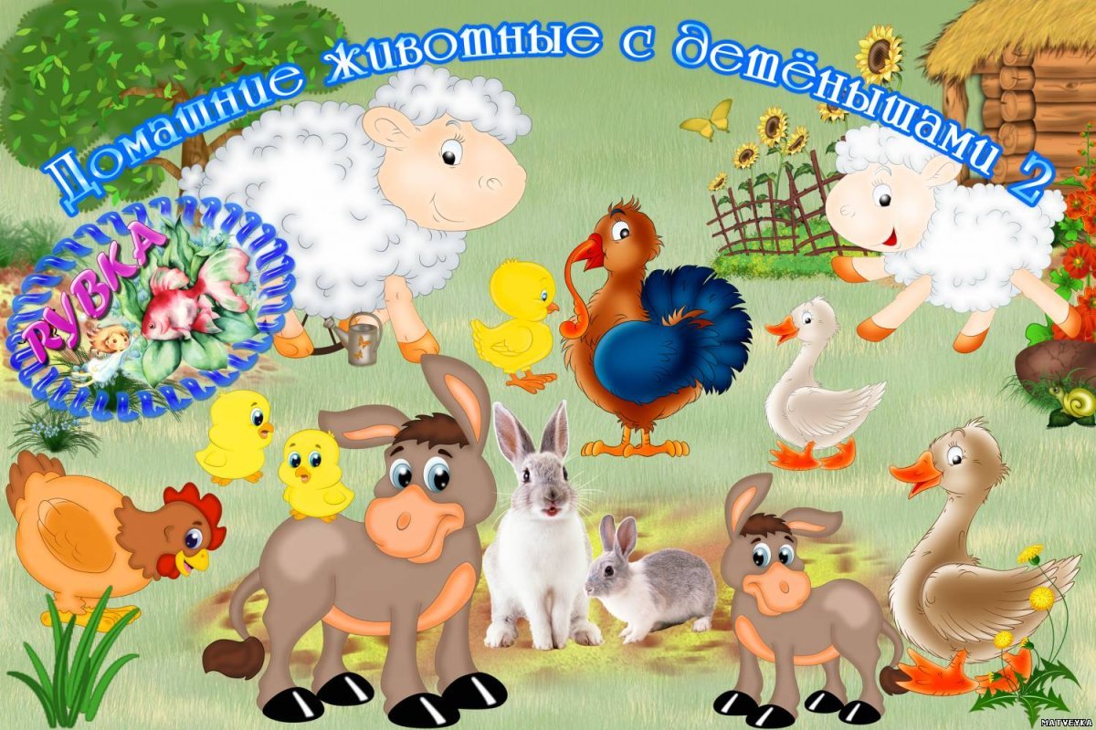 Домашние животные для детей в детском саду