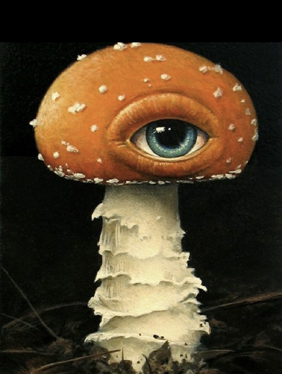 Аманита Мускария психоделика арт