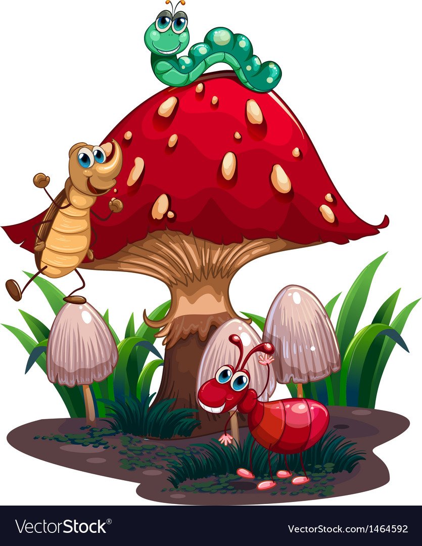 Сказочные мухоморы на прозрачном фоне