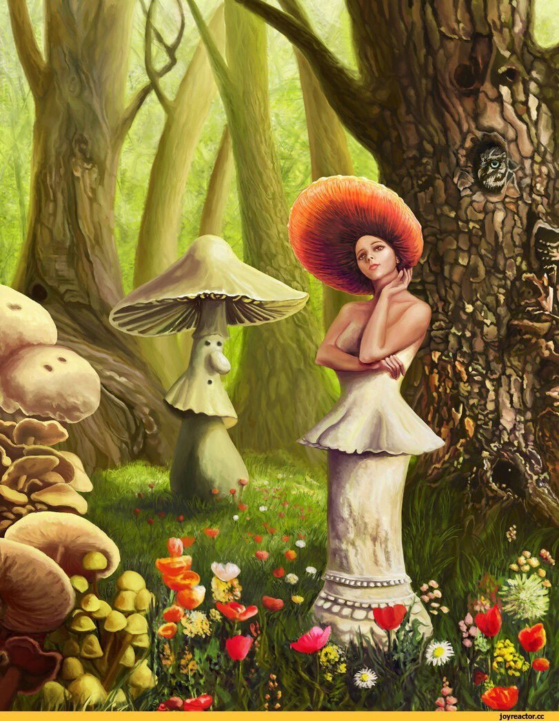 Мухомор инди КИД