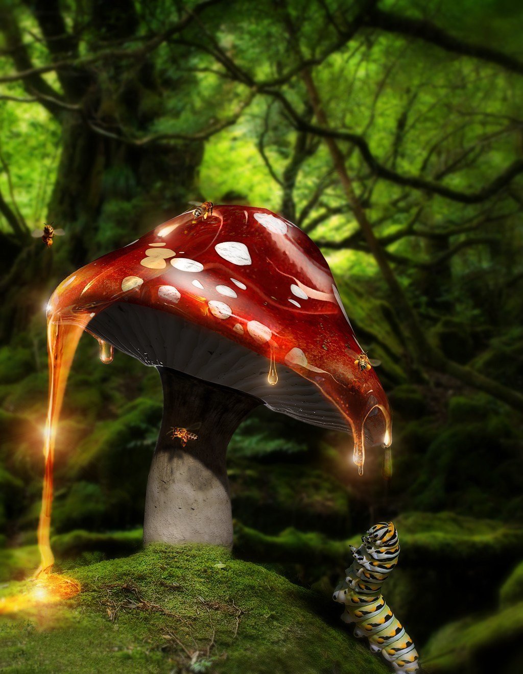 Волшебные грибы