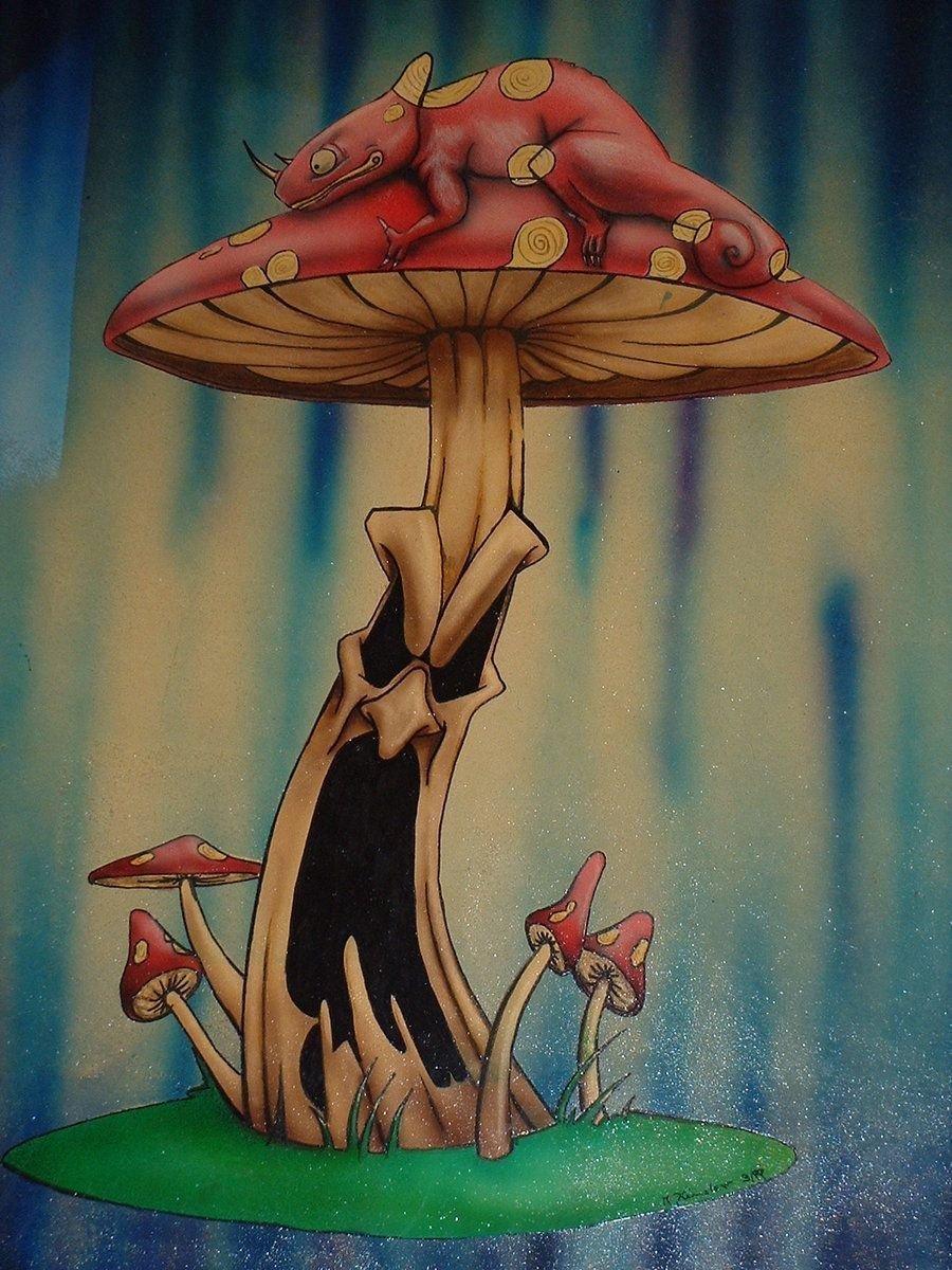 Аманита Мускария психоделика