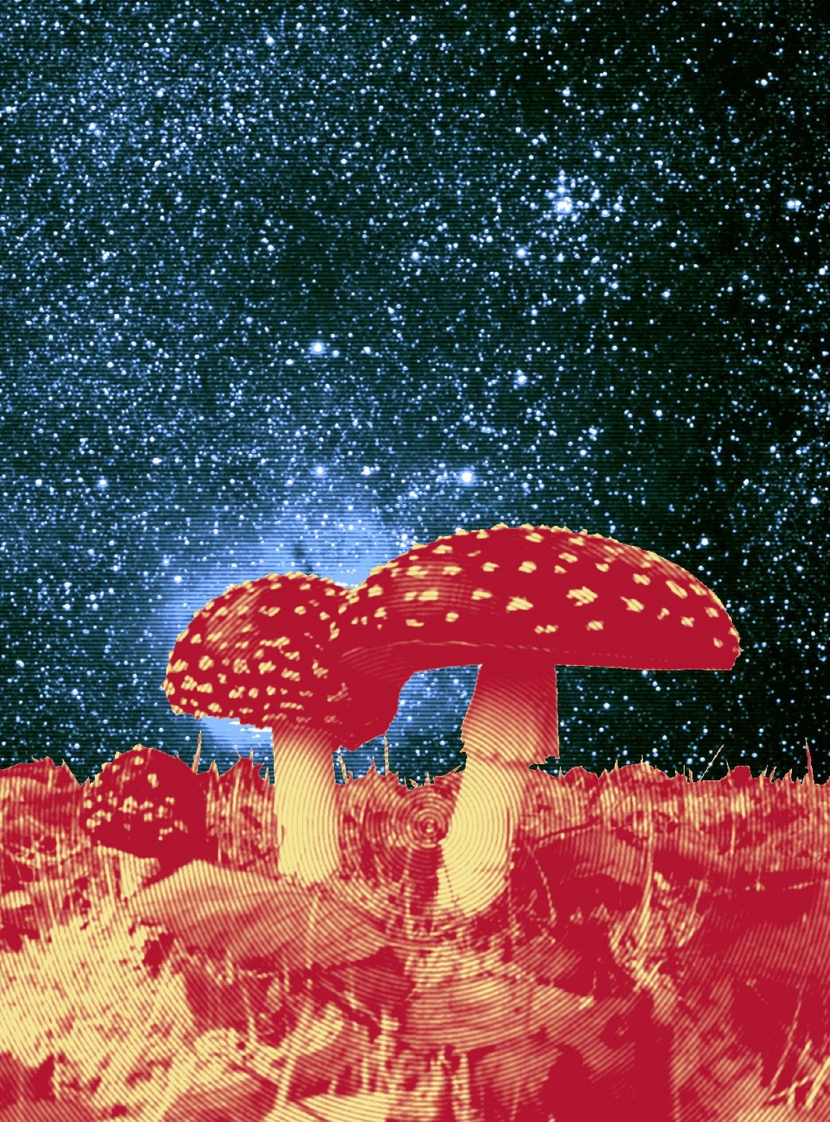 Мухомор психоделик