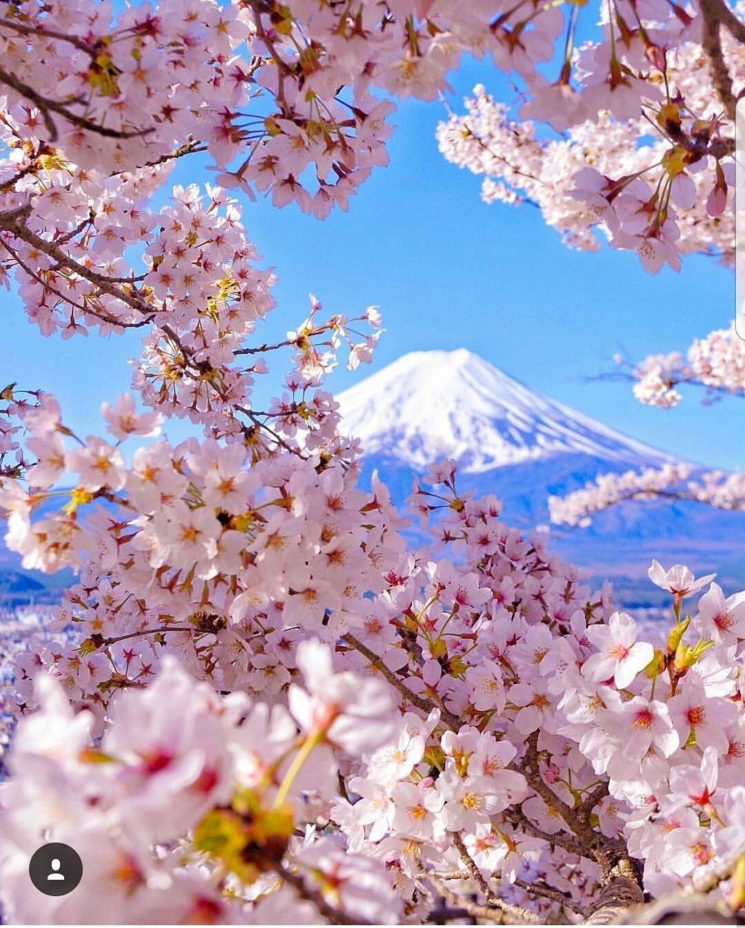 Весенняя природа