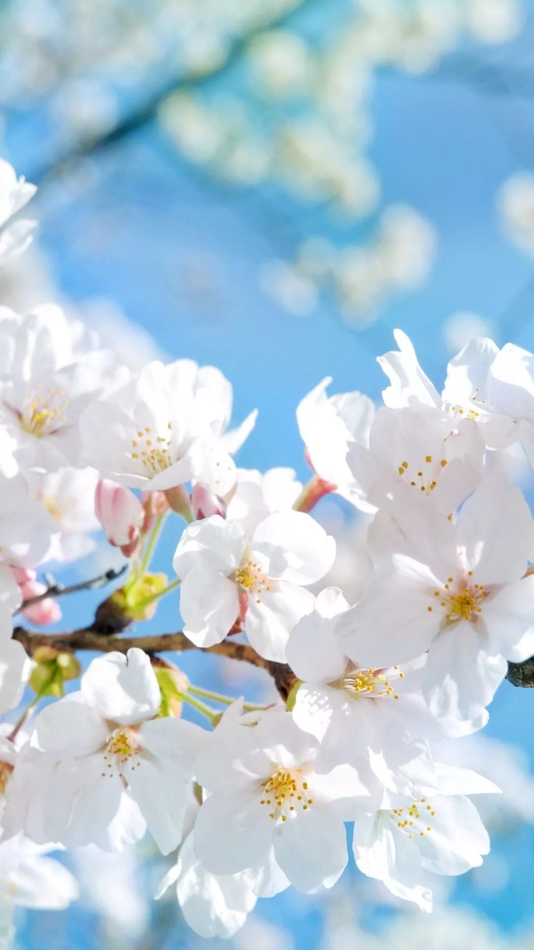 Весенний день