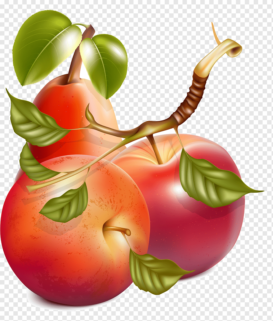 Яблоко груша детское Графика