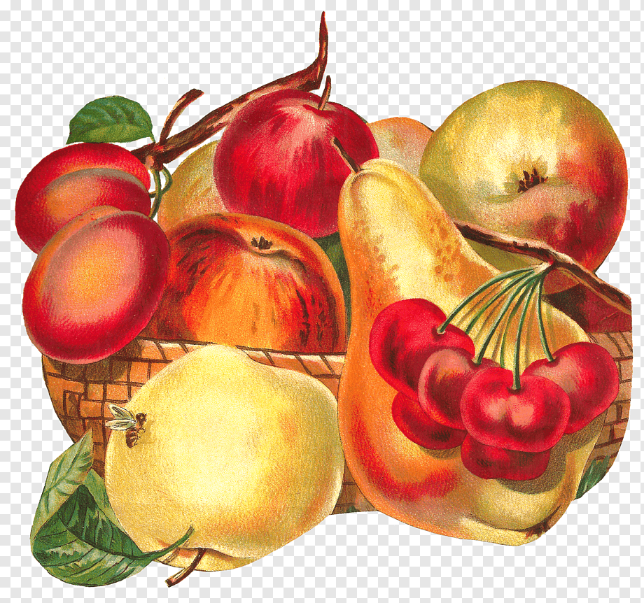 Груша и яблоко вместе