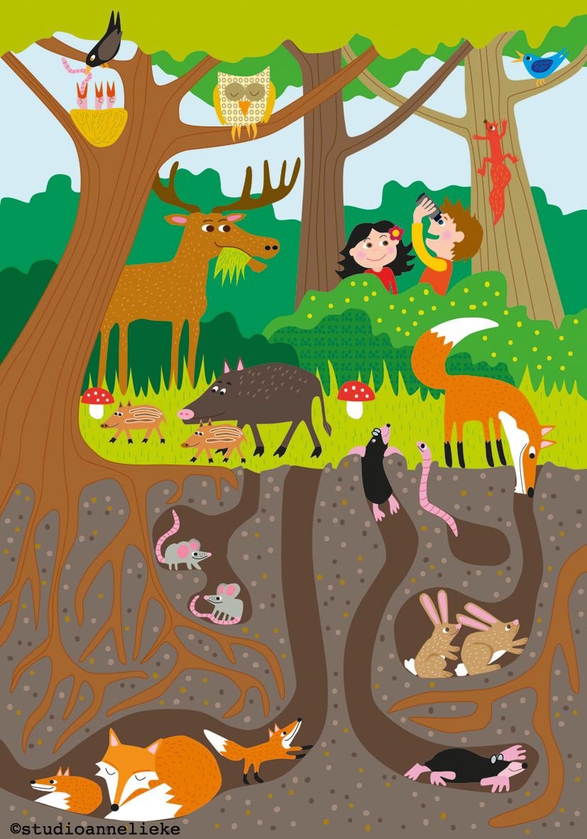 Фон леса для детей