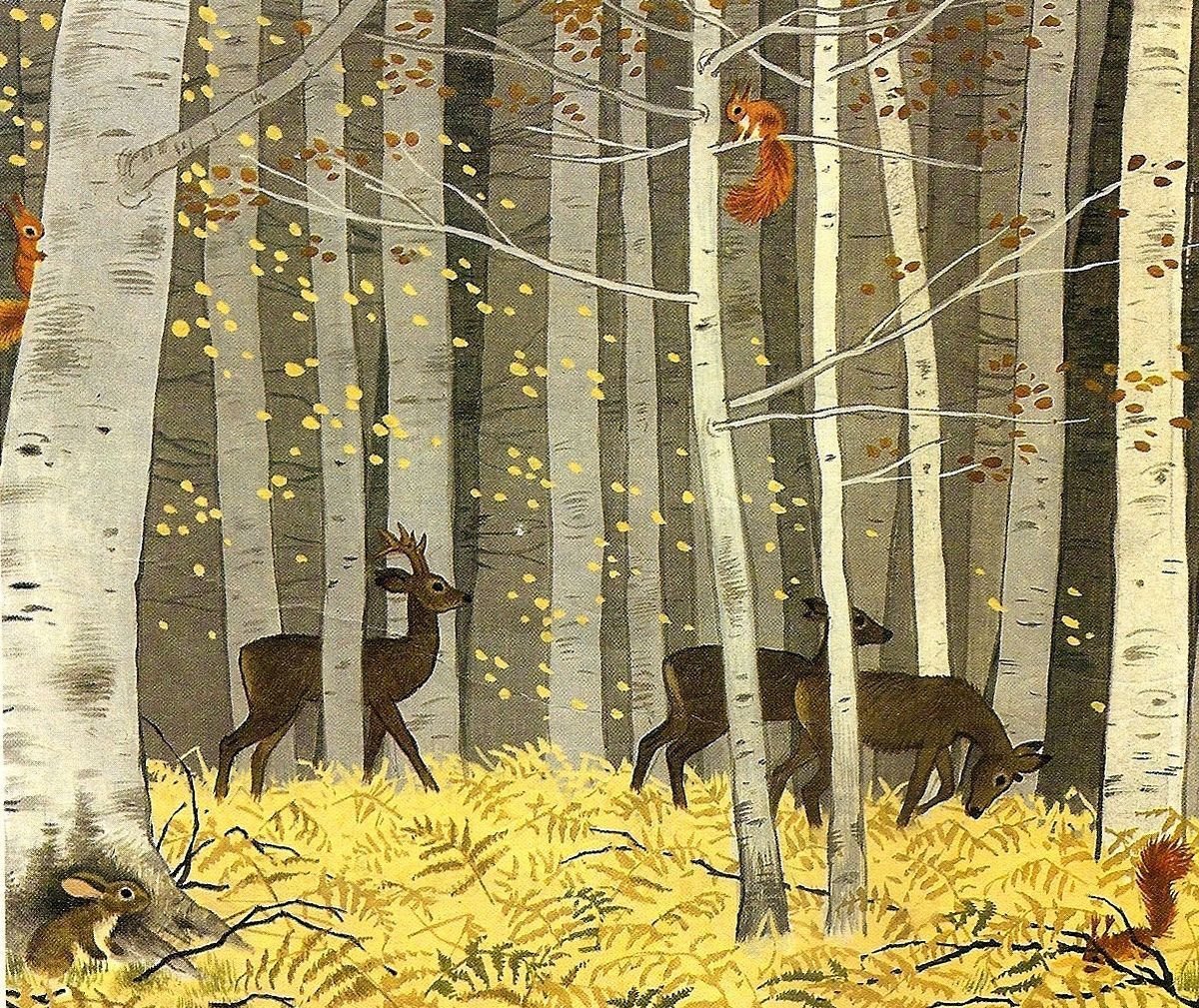 Лес иллюстрация книжная