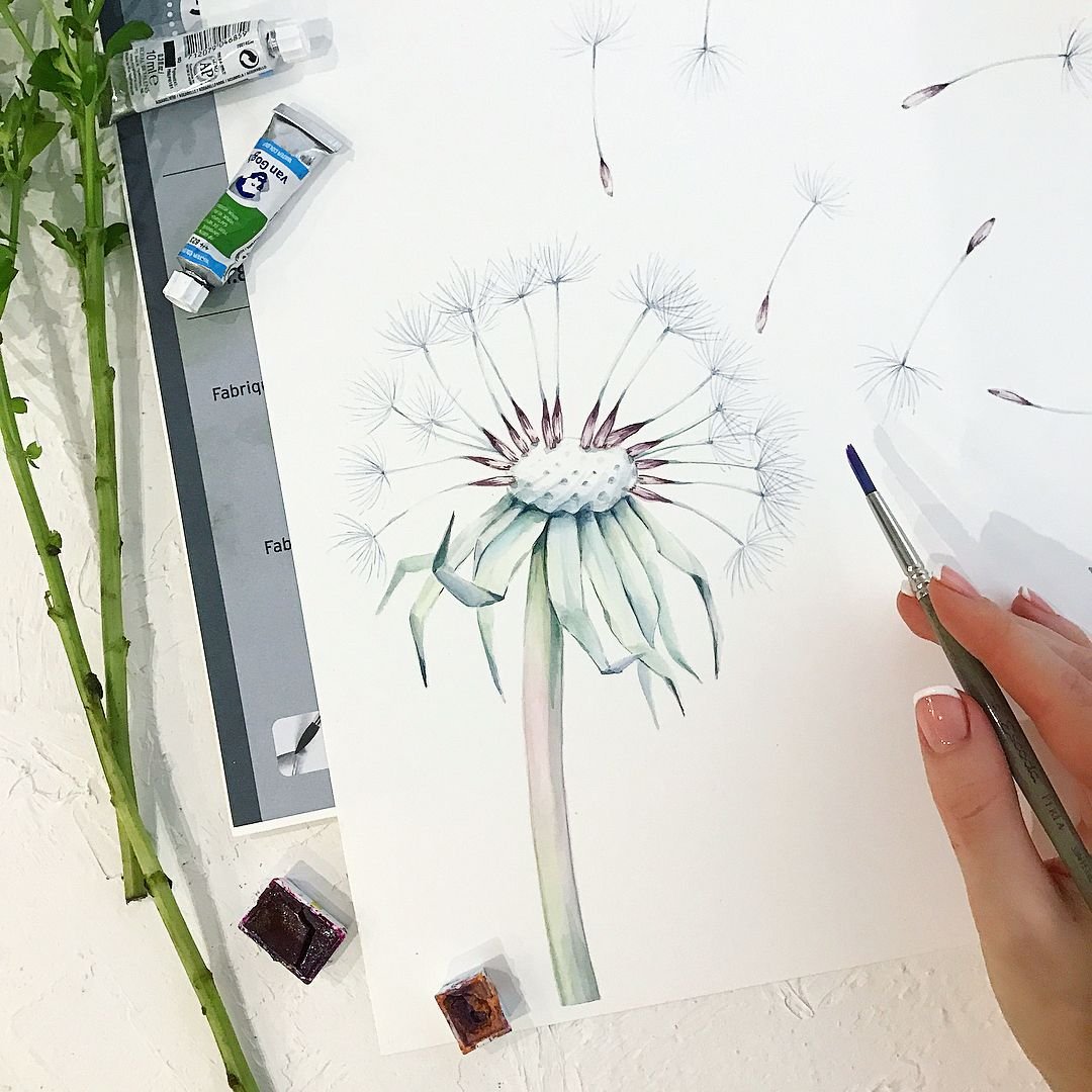 Скетчинг одуванчик