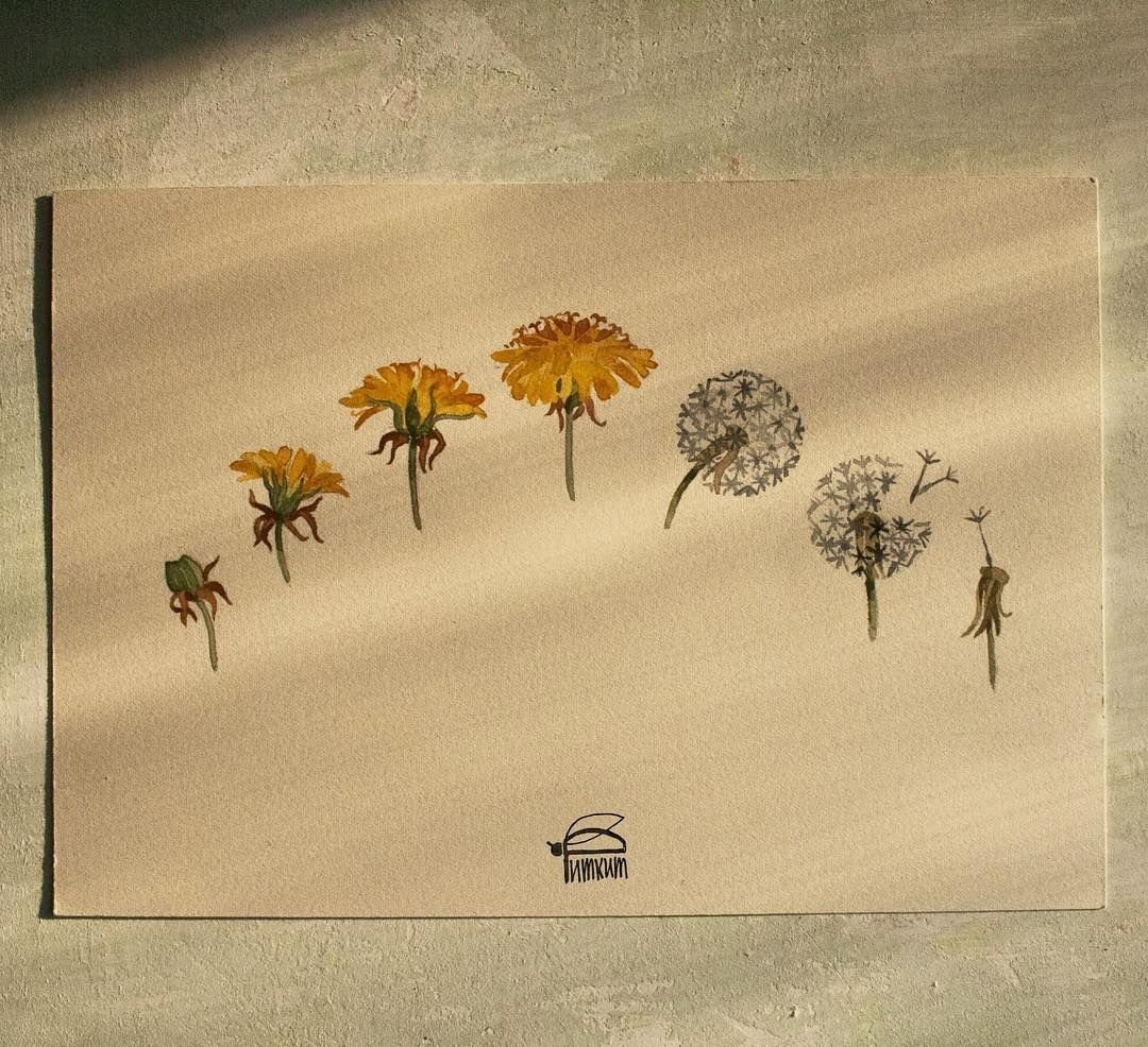 Одуванчики акварелью