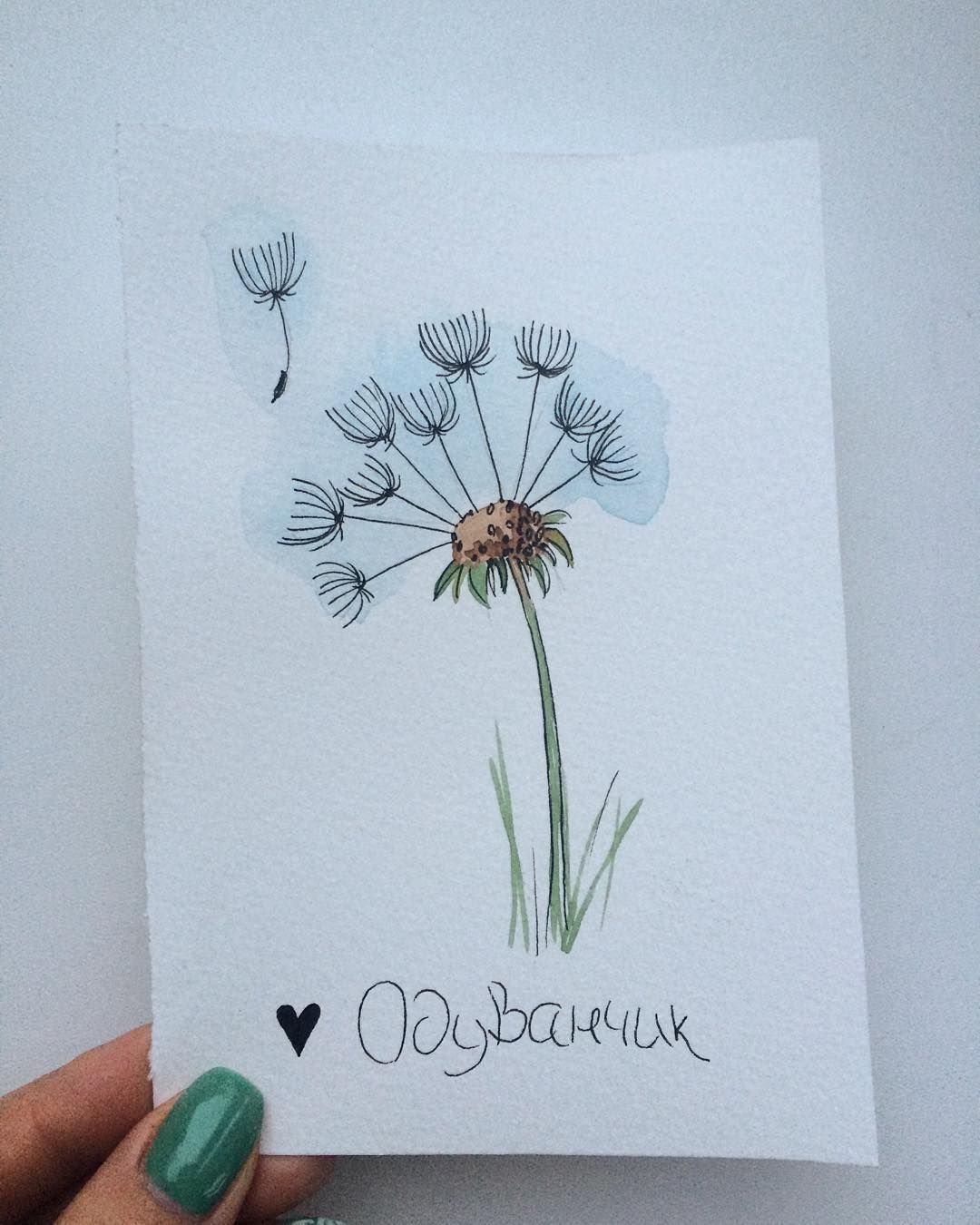 Одуванчики акварельный скетч