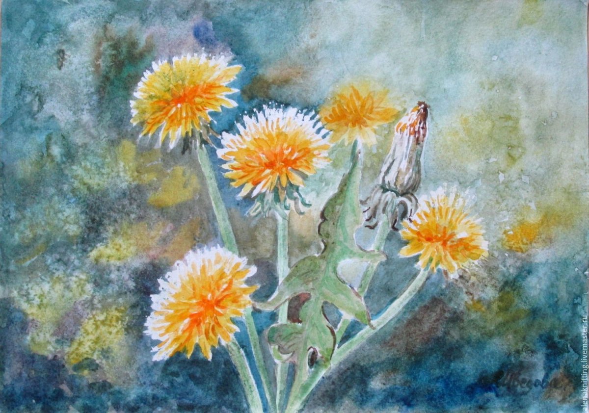 Одуванчики живопись Ботаническая анималистов