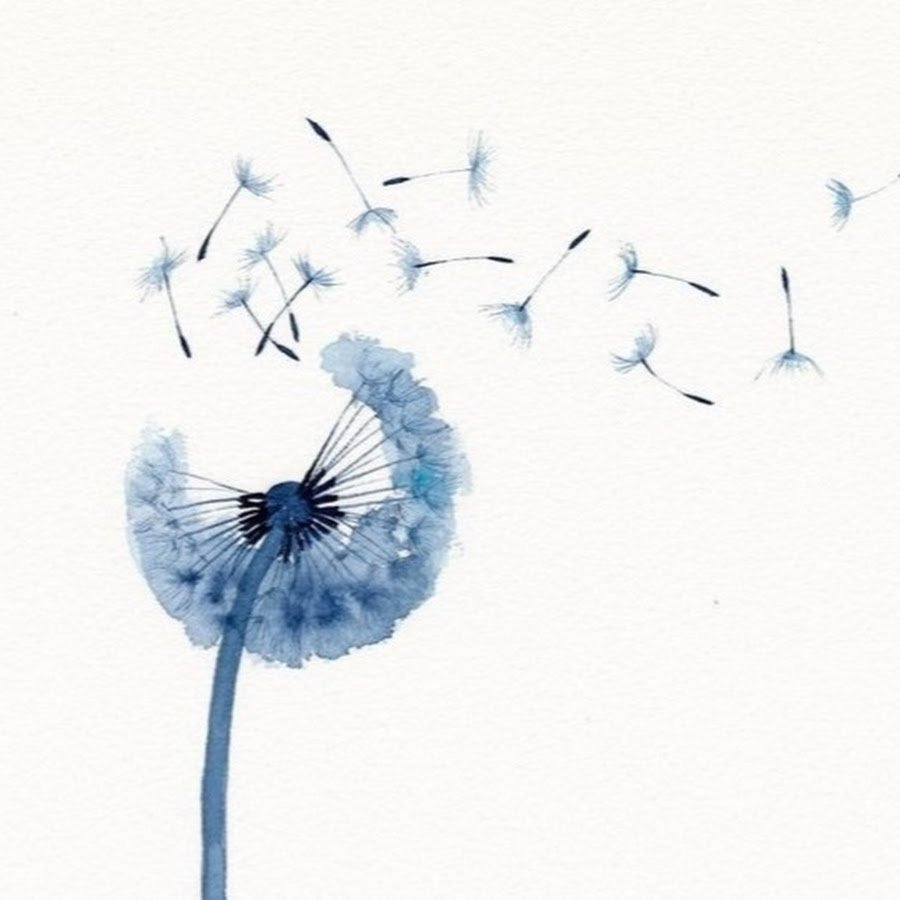 Картины одуванчики акварель