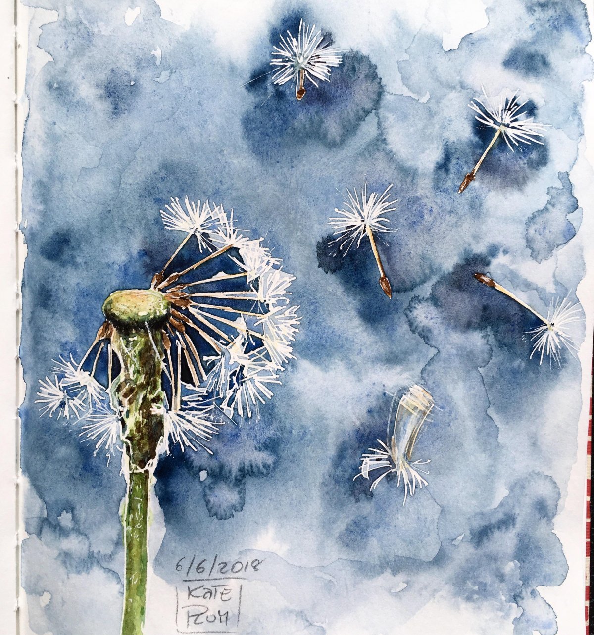 Рисование акварелью одуванчиков