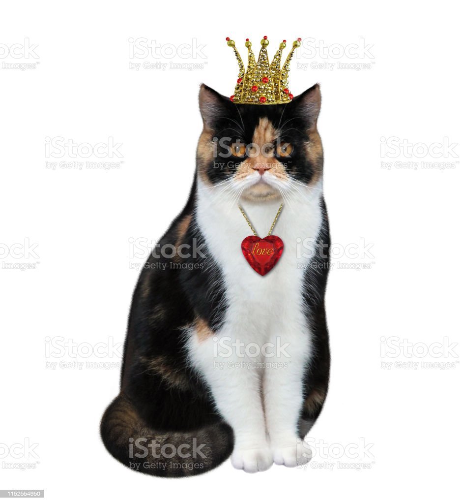 Кот в короне