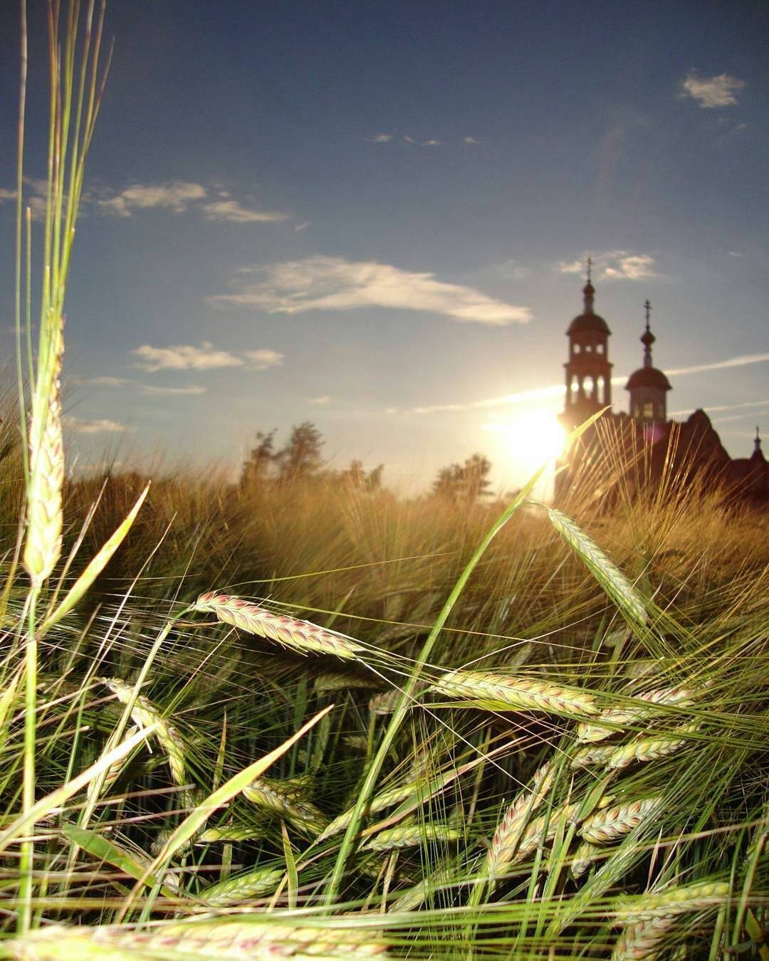 Даниил Коржонов Кенозеро