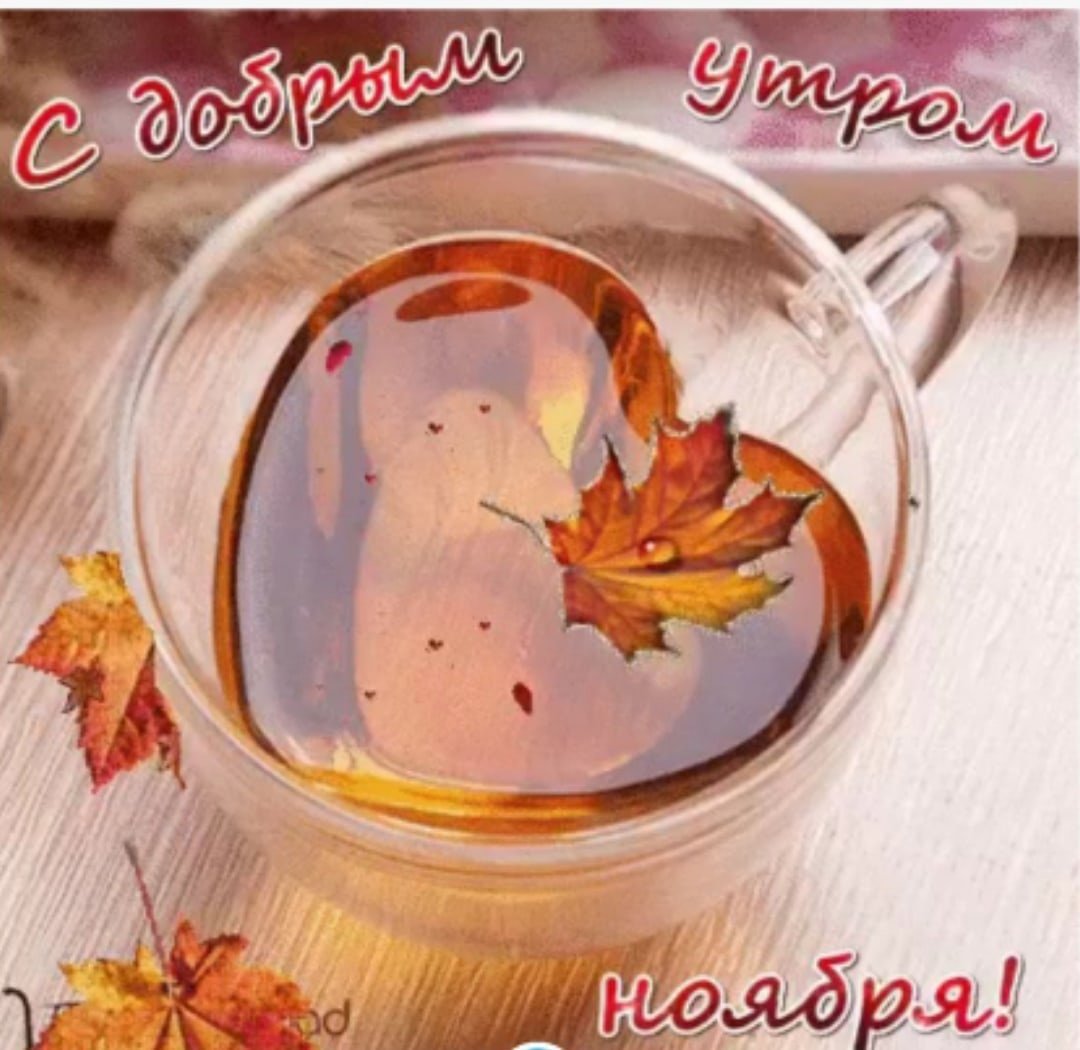 С добрым сентябрьским утром