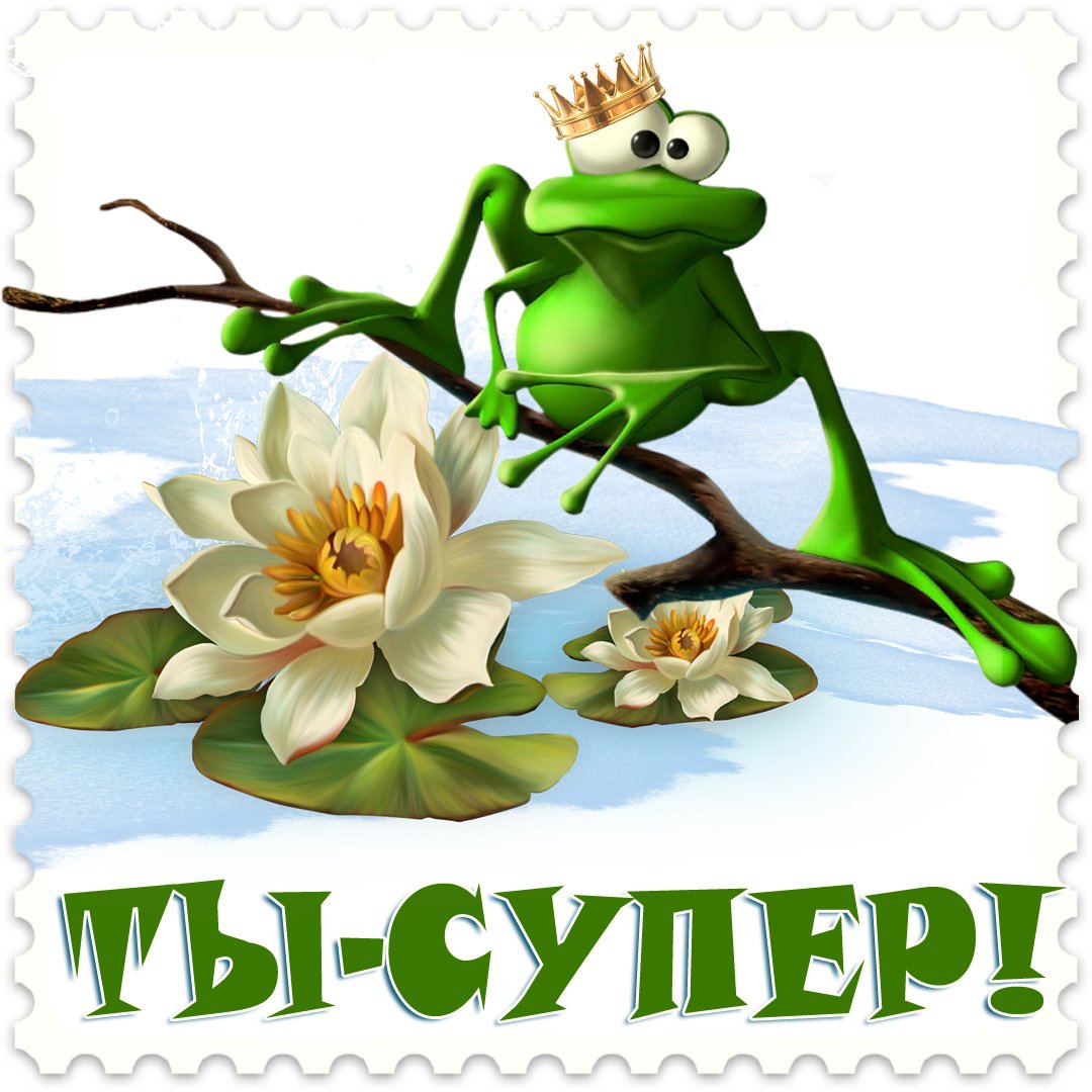 Виктория Кирдий про умниц и красавиц