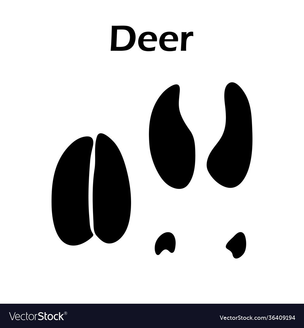 Следы копытных животных