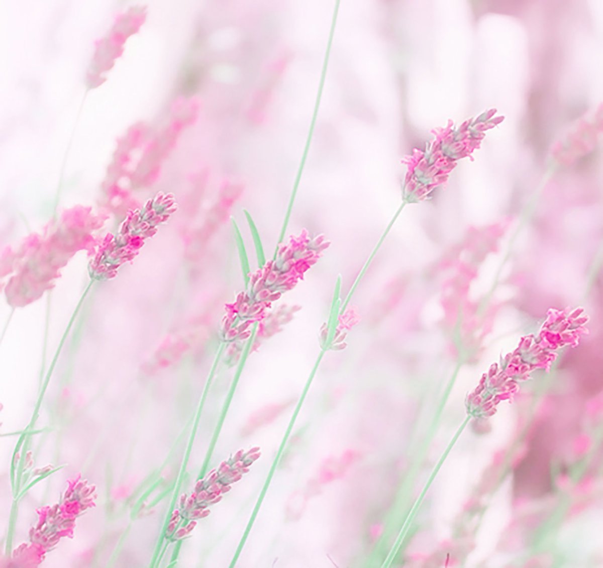 Пастельный фон