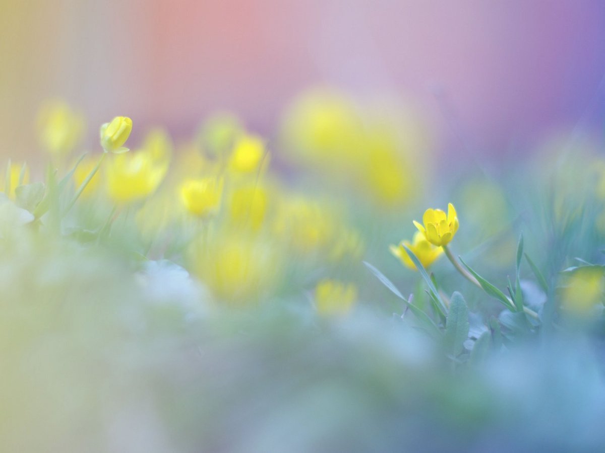 Спокойные цвета