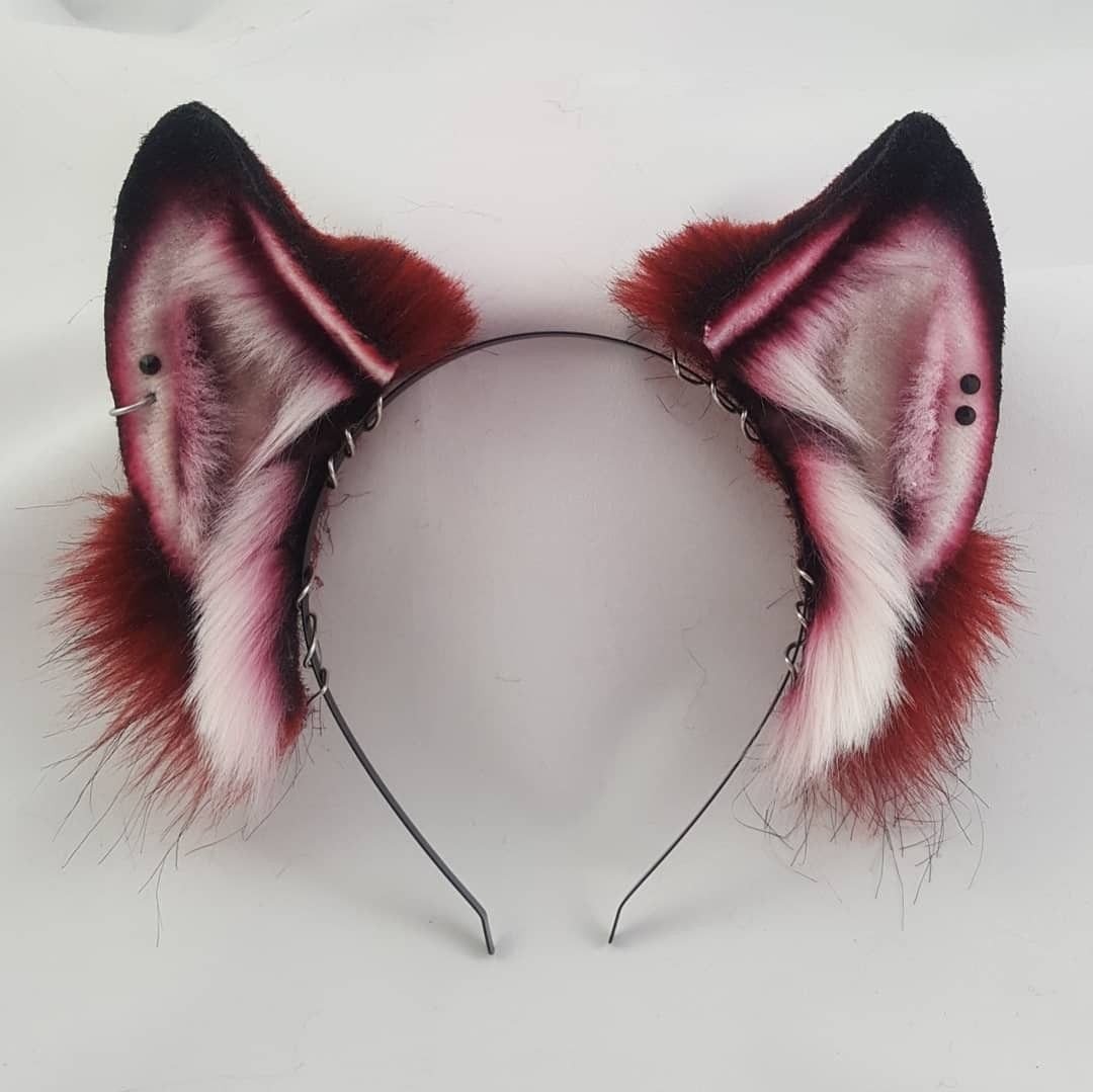 Кошачьи ушки живые