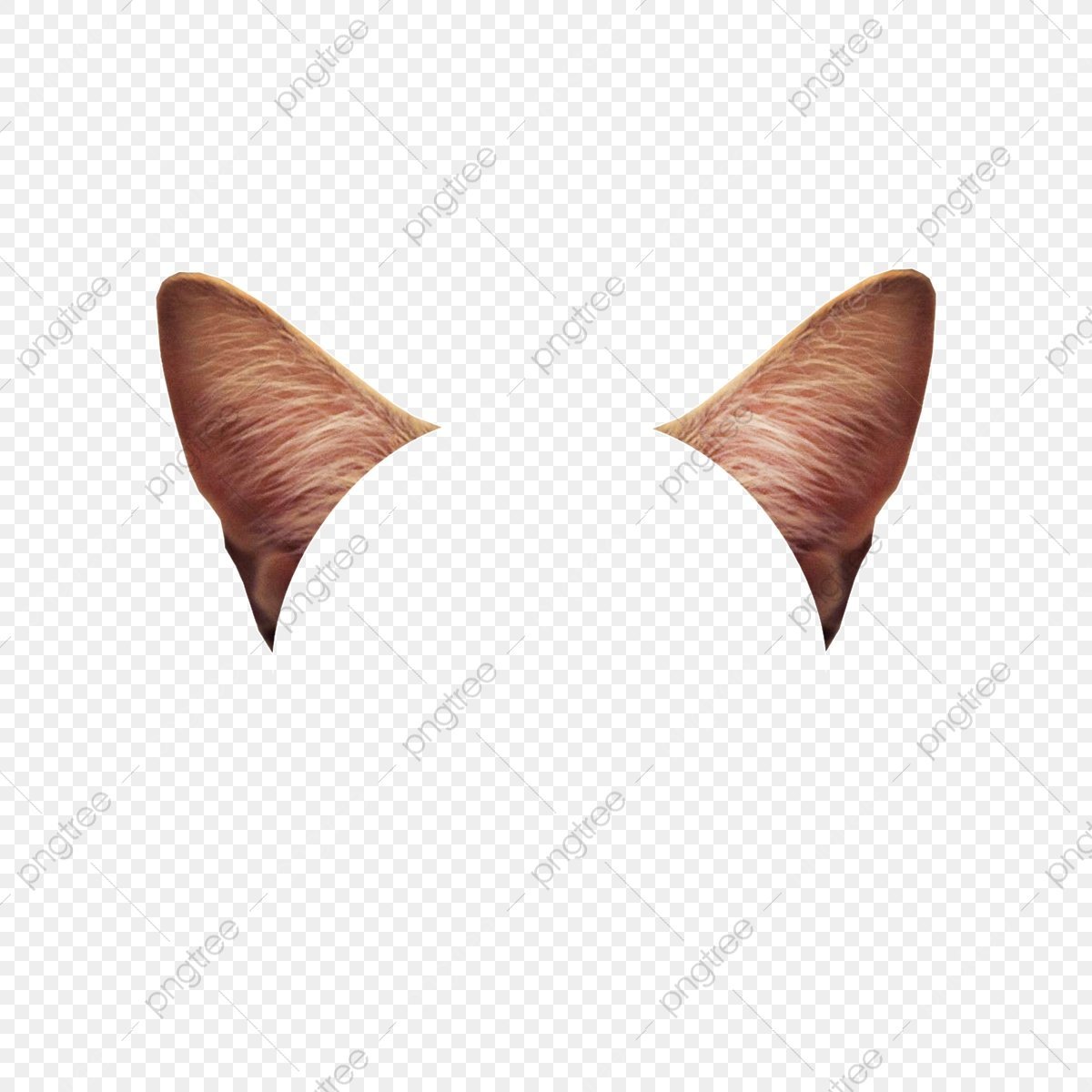 Ушки котика