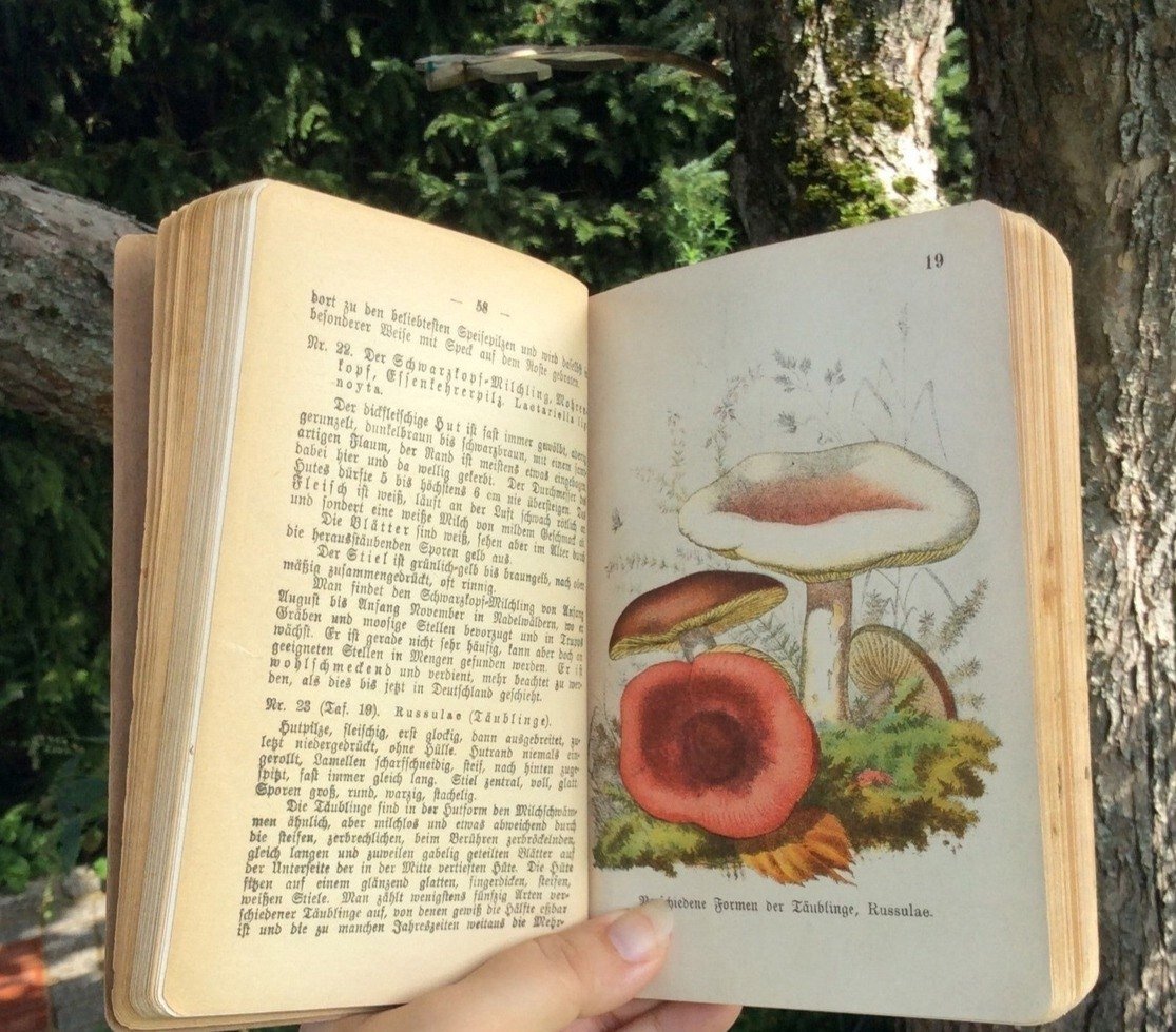 Гоблин кор Эстетика