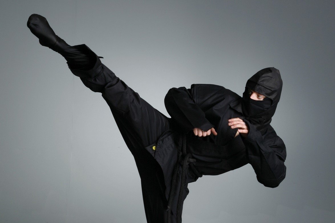 Ниндзя Синоби