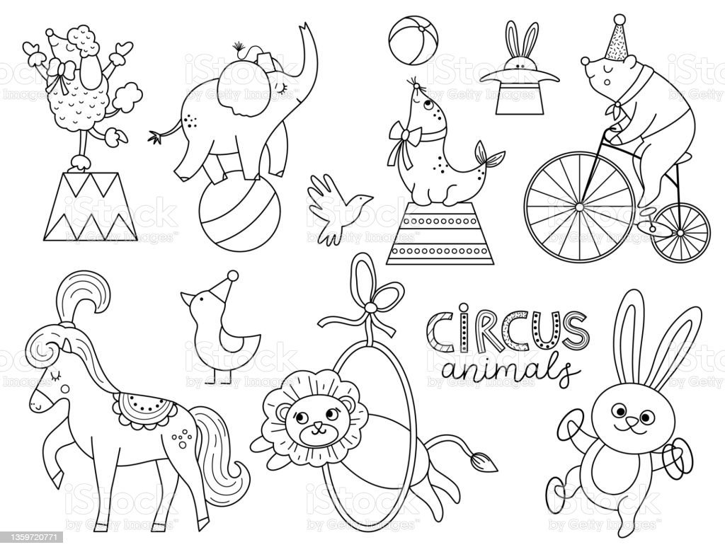 Картинки животных цирк новый год