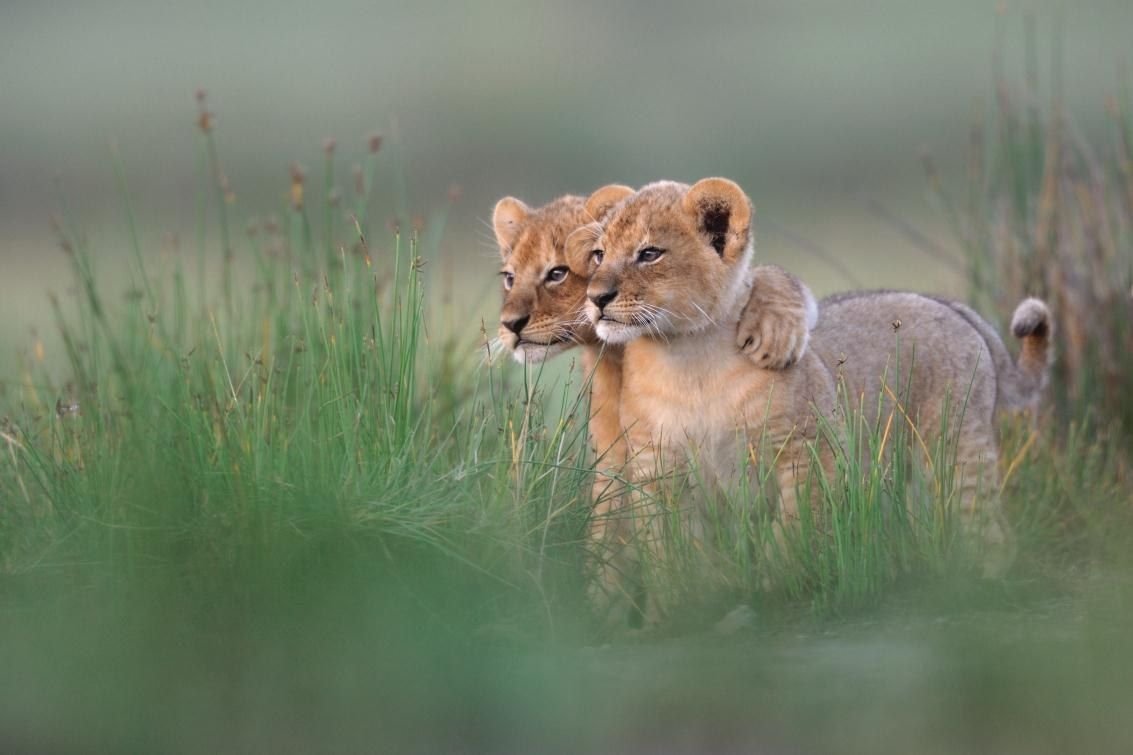 Картина мужчина и женщина обнимаются